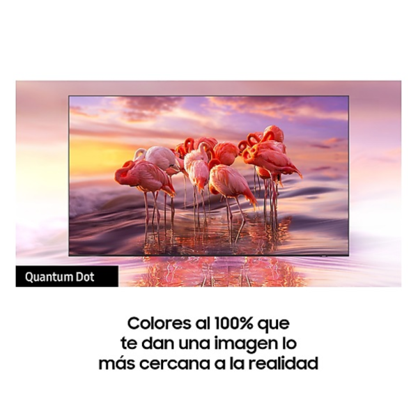 TELEVISOR QLED 4K 65 PULGADAS Q7F (2025) - Imagen 2